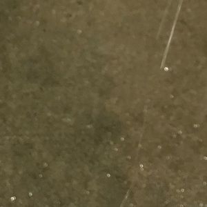 Meet your Posher, Max